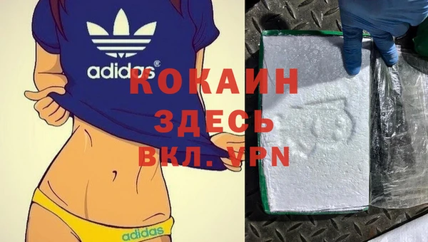 ALPHA PVP Коряжма