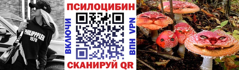 Псилоцибиновые грибы Psilocybe  Купить  Городец 