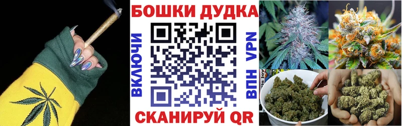 Бошки Шишки ГИДРОПОН  Купить где  Городец 
